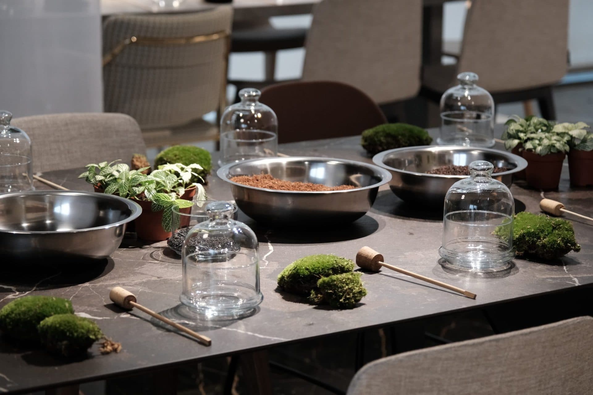 Team Buildings en Madrid con plantas