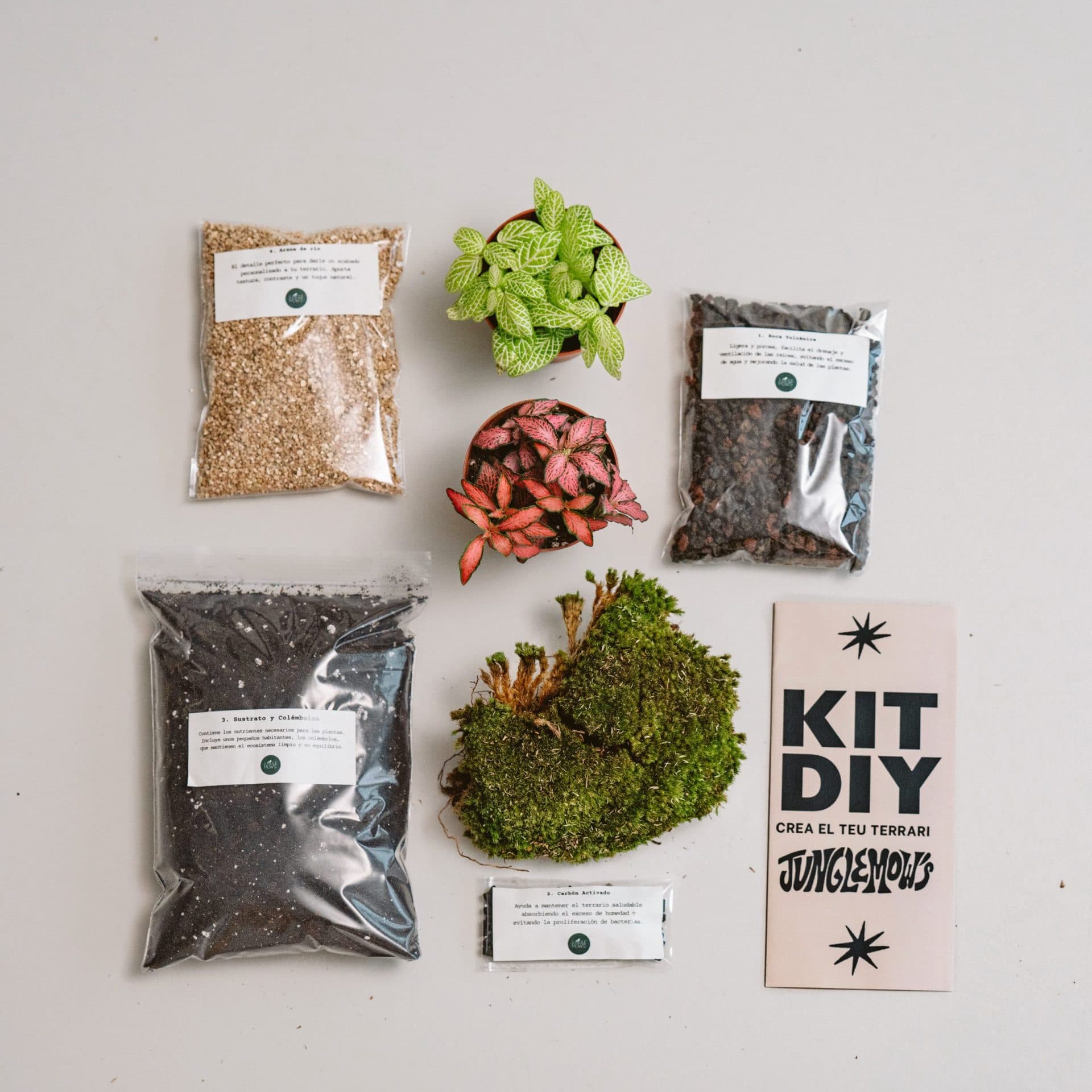 KIT DIY para Terrarios – Sin Recipiente